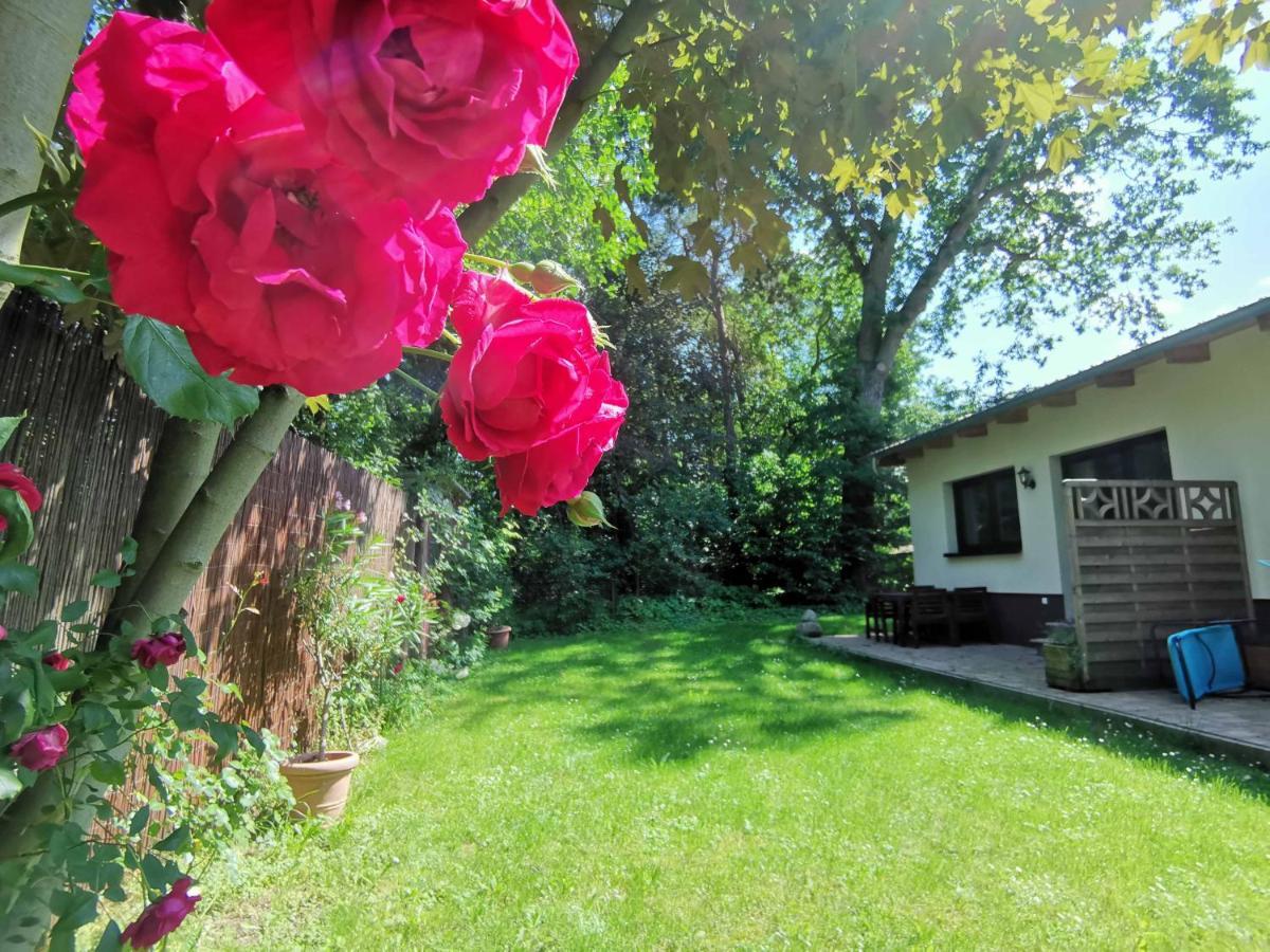 Apartment Waldblick Vom Naturhof Usedom Bannemin Dış mekan fotoğraf